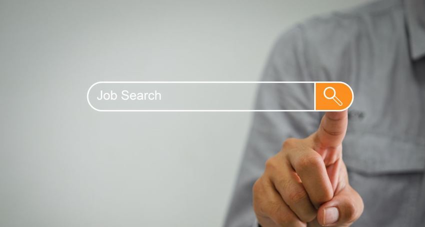 Job Search
