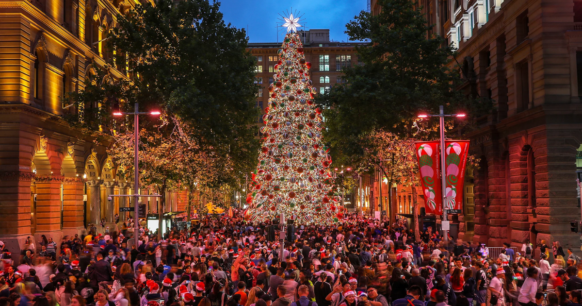 City Of Sydney Christmas Case Study Cover